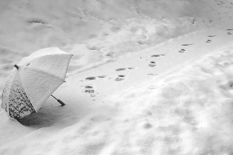 следы снег зима зонт