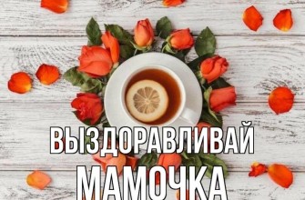 выздоравливай мама