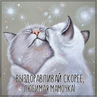 выздоравливай мама