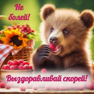 выздоравливай скорей