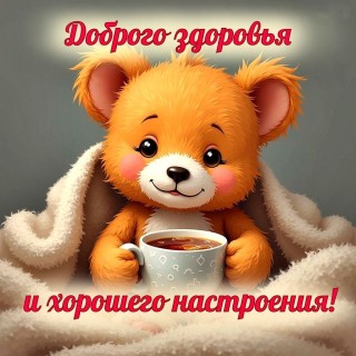 выздоравливай скорей