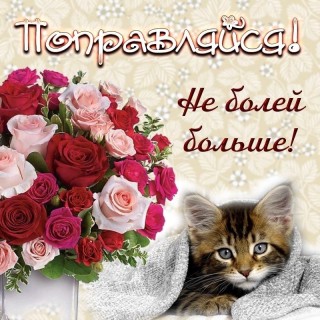 выздоравливай скорей