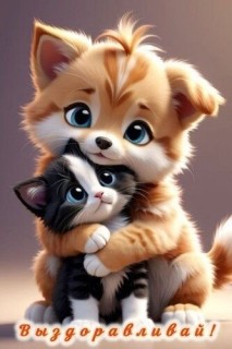 выздоравливай скорей