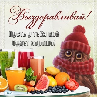 выздоравливай скорей