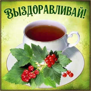 выздоравливай скорей