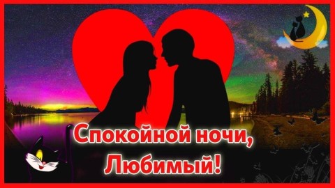 спокойной ночи любимый