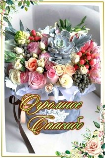 спасибо за поздравление с праздником